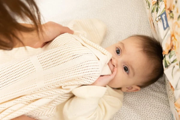 foto_add-42048.jpg
