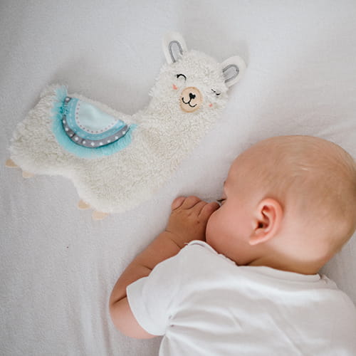 5910063-1.jpg